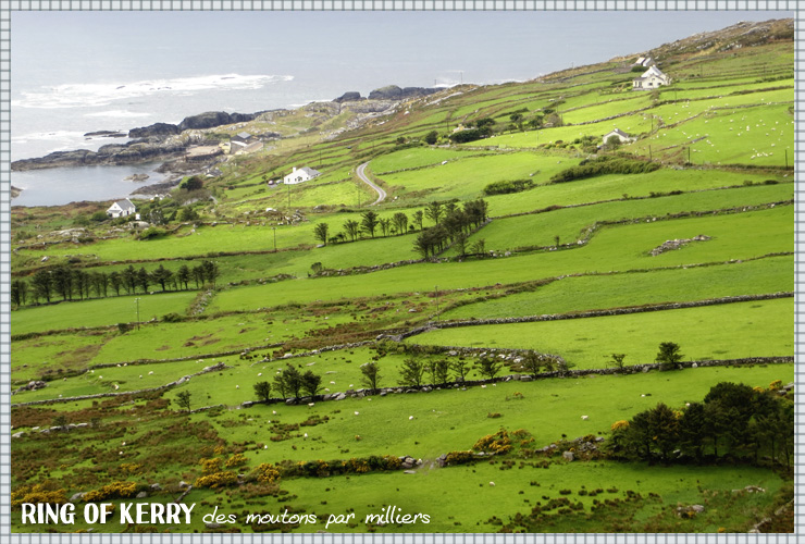 Ring of kerry