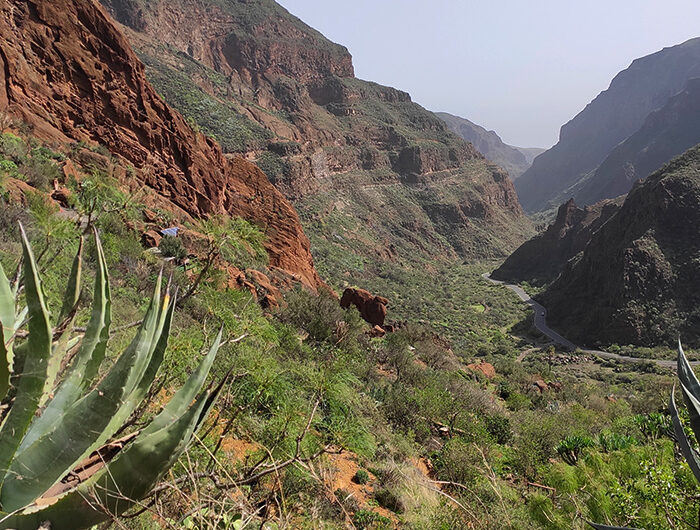 Barranco de Guayadeque
