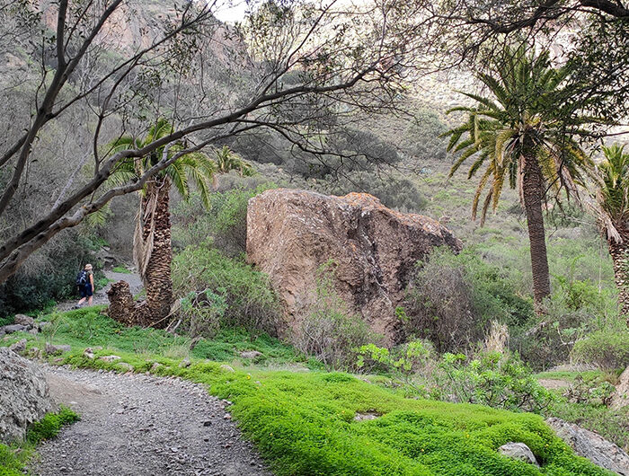 caldera gran canaria