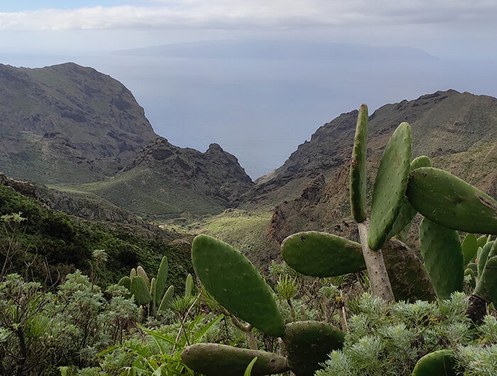 1 semaine à Tenerife - Jour3
