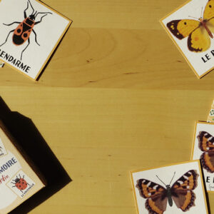 Le jeu de mémoire de mon jardin