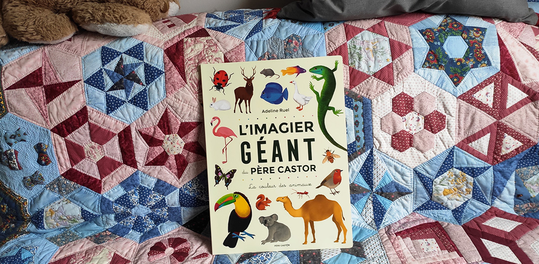 la couleur des animaux