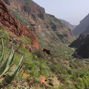 Barranco de Guayadeque