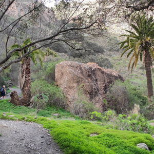 caldera gran canaria
