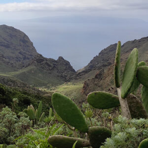 1 semaine à Tenerife - Jour3